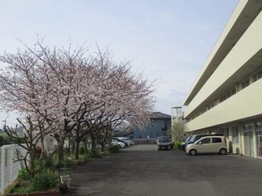 建物と駐車場の外観  