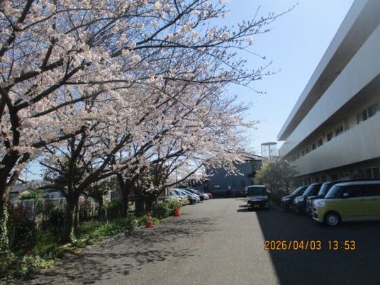 桜並木のある外観  