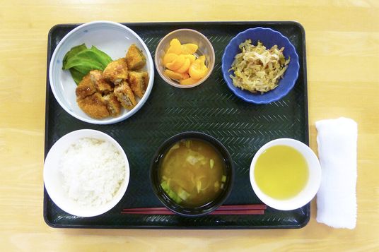 バランスの良い食事例