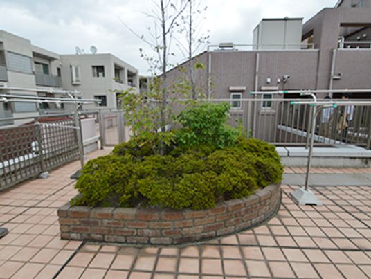 植物が植えられたテラス