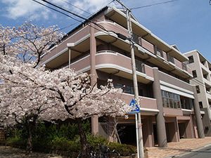 桜と建物の外観
