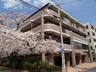 桜と建物の外観
