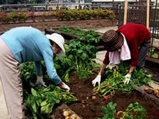 屋上庭園で作業