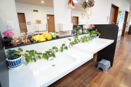 手洗い場所の装飾品