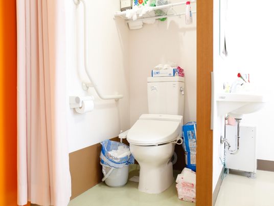 ペールピンクのカーテンが、トイレの前に付いている。大きなL字型の手すりが、壁に付いている。足元にはオムツなどが置いてある。
