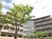 建物外観と木々の庭  