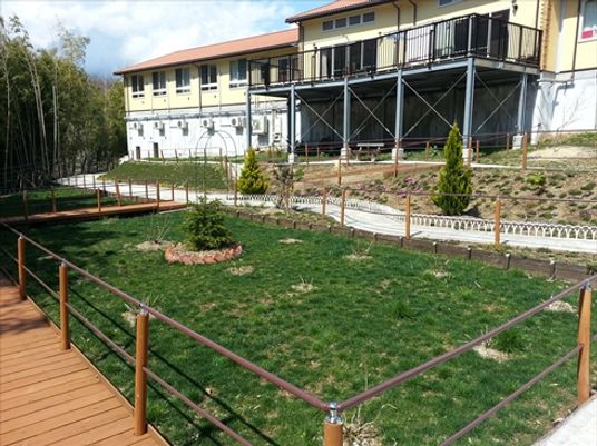 緑豊かな庭
