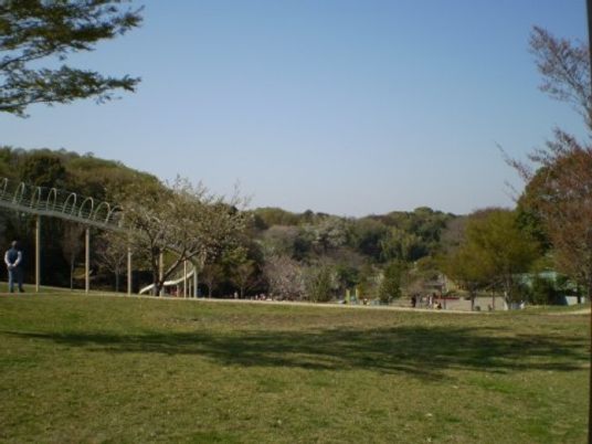 セントケアホーム茅ヶ崎の周辺環境。日向ぼっこなどに適した緑豊かな公園が近くに立地している。