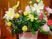 サムネイル フラワーポットには、黄色いチューリップや赤いバラ、白いコスモスなど色とりどりの花に緑の葉がアレンジメントされている。