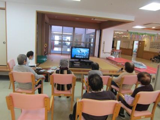 テレビ鑑賞の様子 リビング 広々としたリビングで、利用者がくつろぎながらテレビを楽しんでいます。明るい雰囲気です。