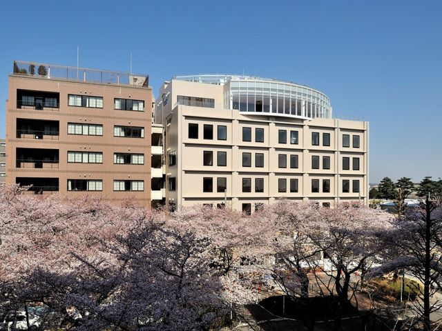 桜に囲まれた建物外観 外観 桜並木が彩る落ち着いた雰囲気の外観です。四季の移ろいを感じながら、快適な時間をお過ごしいただけます。