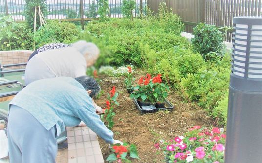 花壇での活動