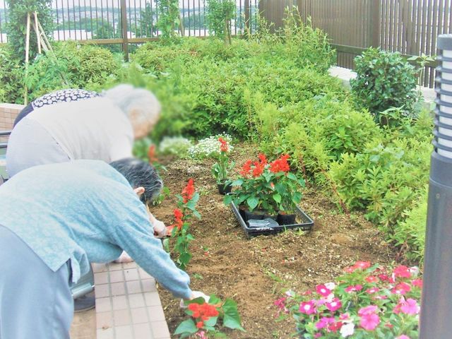 花壇での活動 庭 季節の花を植えることができる庭で、一緒にリラックスしながら自然に触れることができます。