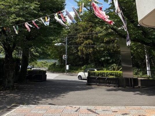 鯉のぼりが飾られた屋外  