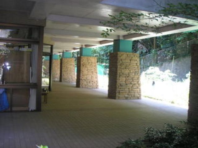 緑に囲まれた中庭 中庭 木々に囲まれた中庭で、リラックスタイムをお楽しみいただけます。自然を感じる癒しの空間です。
