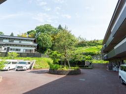 木々と車がある場所