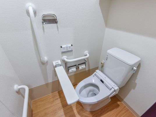 トイレの手前には、からだを支える時に使うボードが設置されている。また、奥の壁には落とし紙用のホルダーが取り付けられている。