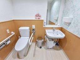 安全な設備の洗面所