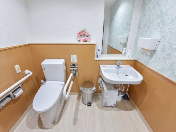 安全な設備の洗面所