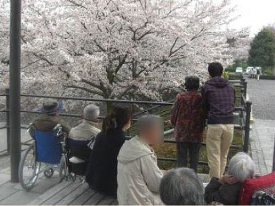 桜を愛でる人々の背景