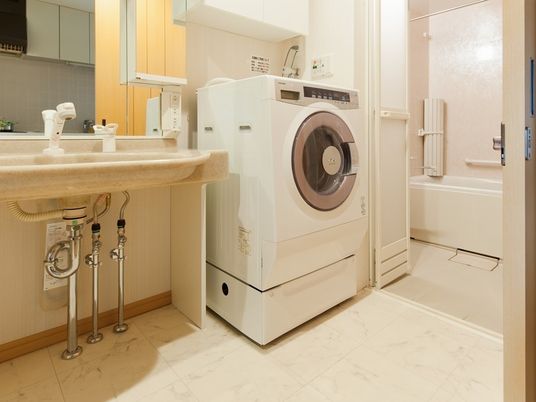 清潔な洗面台と洗濯機