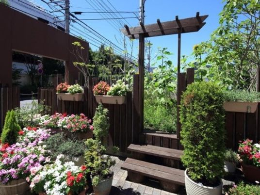 花々が彩る明るい中庭