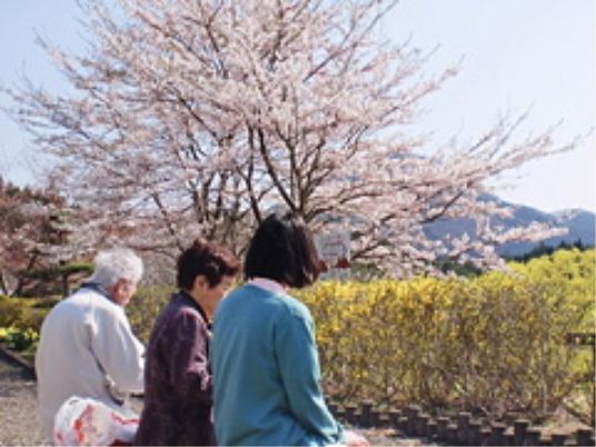 春の桜と共に庭にいる人々