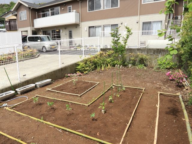 中庭のある施設外観 家庭菜園 手入れされた中庭と清潔感のある建物外観。自然に触れながら穏やかな時間を過ごせる環境が整っています。
