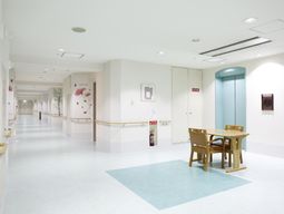 清潔な廊下の様子