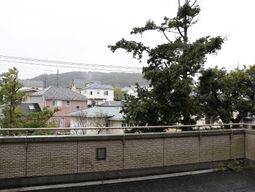 緑と建物が見える景観