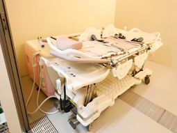 ベッドと設備が整った部屋