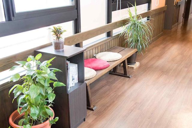 植物のある明るい廊下