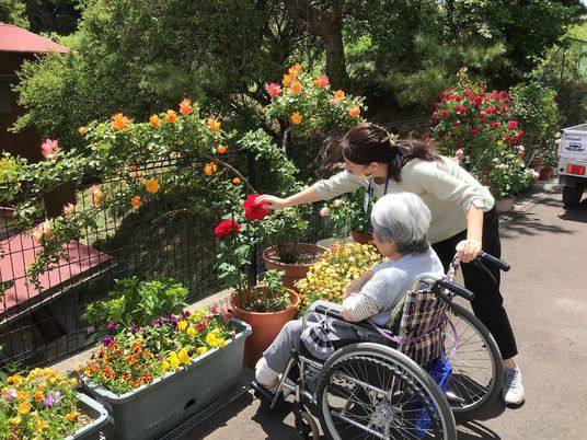 花に囲まれた庭
