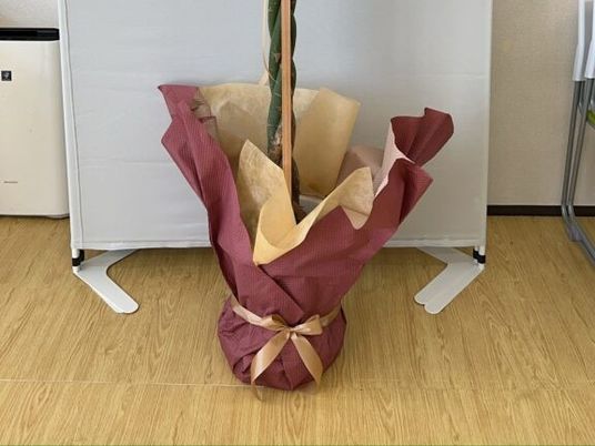 花の飾りと床面の室内  