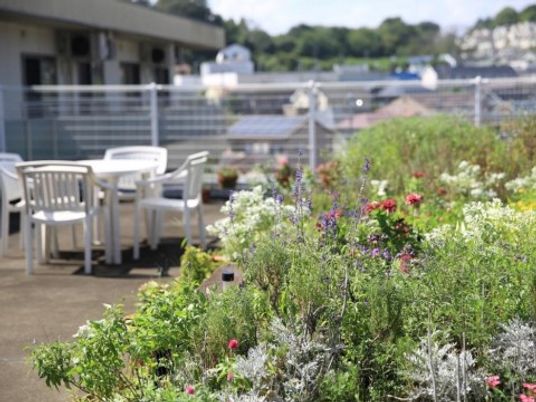 中庭にある花壇