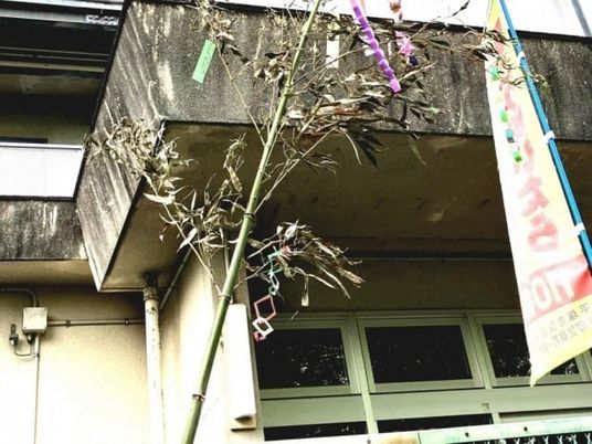 中庭の飾り竹  