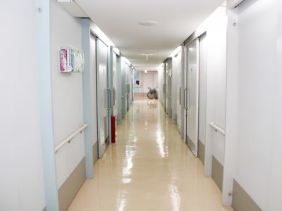 清潔な廊下の様子