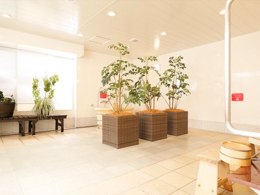 明るい中庭の植物たち