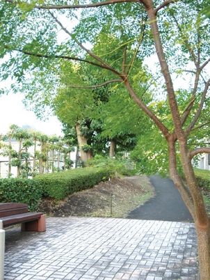 緑豊かな施設の中庭