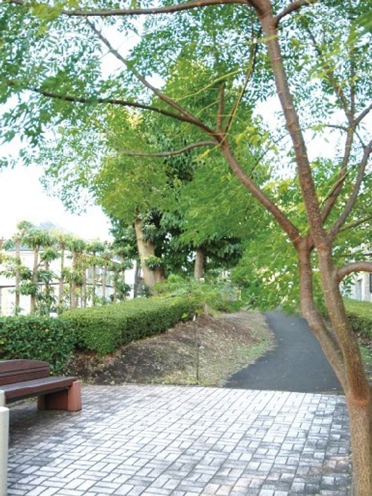 緑豊かな施設の中庭