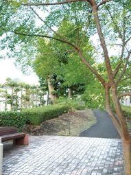 緑豊かな中庭の風景