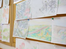 掲示された色鮮やかな絵