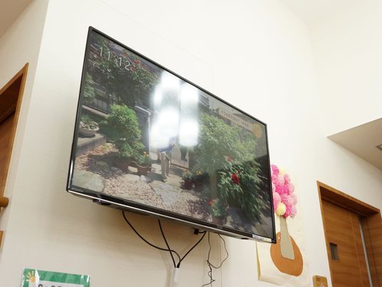 壁掛けテレビの映像