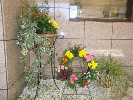 色とりどりの植物が生い茂るエントランス