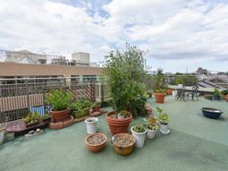 屋上に植物のあるスペース