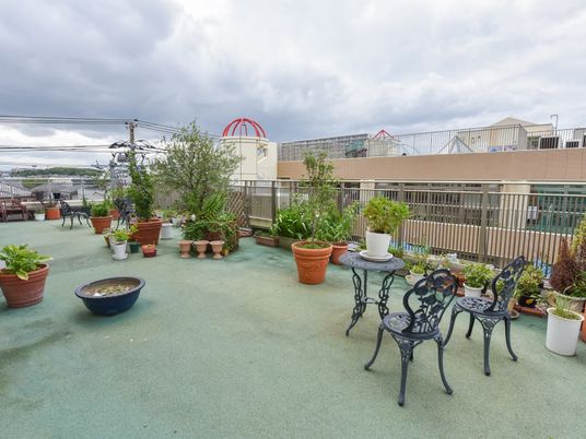 緑豊かな屋上庭園