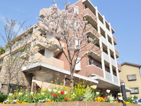 桜と花壇のある外観