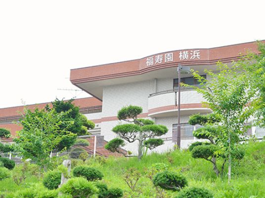 自然豊かなお庭