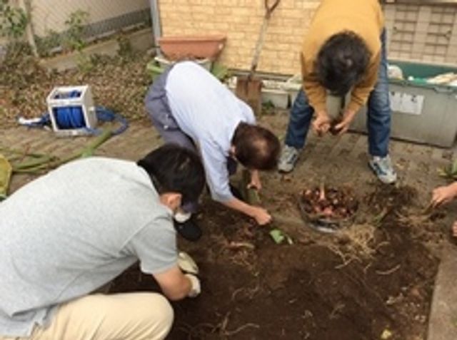 楽しむ様子の庭 庭 四人が庭で植え物を楽しんでいます。皆さんで庭仕事をすることで、リラックスした雰囲気が感じられます。