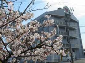 デイサービスセンター サイタの外観